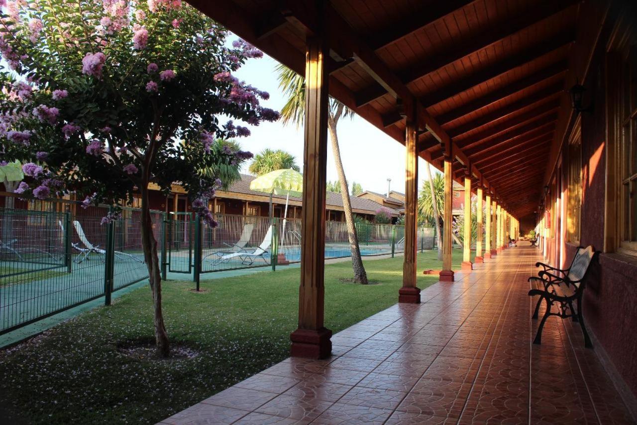 Hotel Punakora Aconcagua San Felipe Zewnętrze zdjęcie